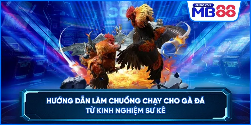 Hướng Dẫn Làm Chuồng