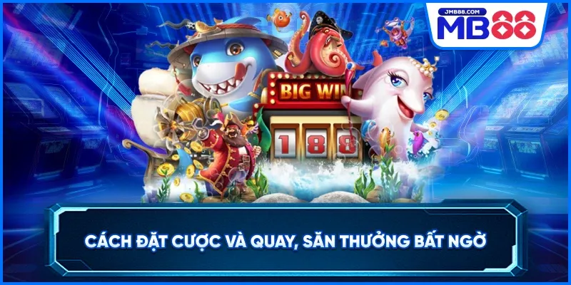 Cách đặt cược và quay, săn thưởng bất ngờ